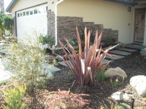 Shrub Delivery & Planting Service Huntington Beach, Newport Beach, Costa Mesa