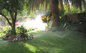 Sprinkler Systems Huntington Beach