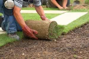 Sod Installation & Repair Service Huntington Beach, Newport Beach, Costa Mesa