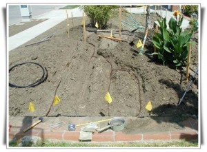 Installed Drip Irrigation Huntington Beach